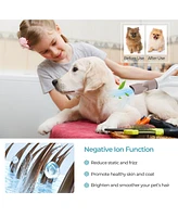 Dog Cat Hair Blower with Negative Ion Function and Adjustable Temperature