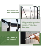 Walk-In Greenhouse: 6x8 Ft Outdoor Polycarbonate with Roof Vent