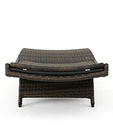 Cozy Outdoor Chaise Lounge Set: Premium Faux Rattan and Aluminum Construction for Backyard Relaxation