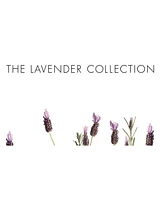 Pre de Provence Lavender Bath & Shower Gel, 300 Ml