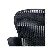 Patio Chairs 2 pcs with Cushion Anthracite Plastic Rattan Look