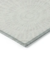 Addison Chantille Machine Washable ACN877 2'6"x3'10" Area Rug