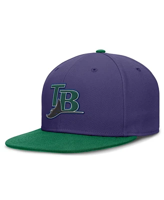 Nike Men's Purple/Green Tampa Bay Rays True Primetime Two-Tone Performance Fitted Hat