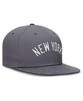 Nike Men's Gray New York Yankees Performance True Fitted Hat