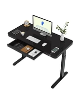 Flexispot EG9B-e, Electric Height Adjustable Glass Top Standing Desk, Black