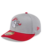 New Era Men's Gray/Red Philadelphia Phillies 2025 Batting Practice Low Profile 59FIFTY Fitted Hat