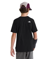 The North Face Big Boys Landscape Graphic Cotton Short-Sleeve T-Shirt