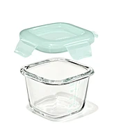 Oxo Tot Glass 4-Pack Baby Blocks Food Storage Containers