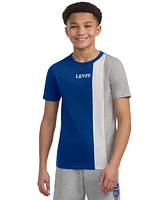 Levi's Big Boys Streamline Color block Tee