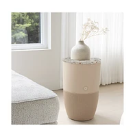Bloom Air Purifier