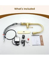 Casainc Smart Faucet Touchless Pull Down Sprayer Kitchen with Voice and Motion Control