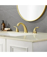 2 Handle Bathroom Sink Faucet