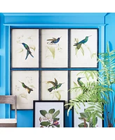 Hummingbird Prints, Set Of 6