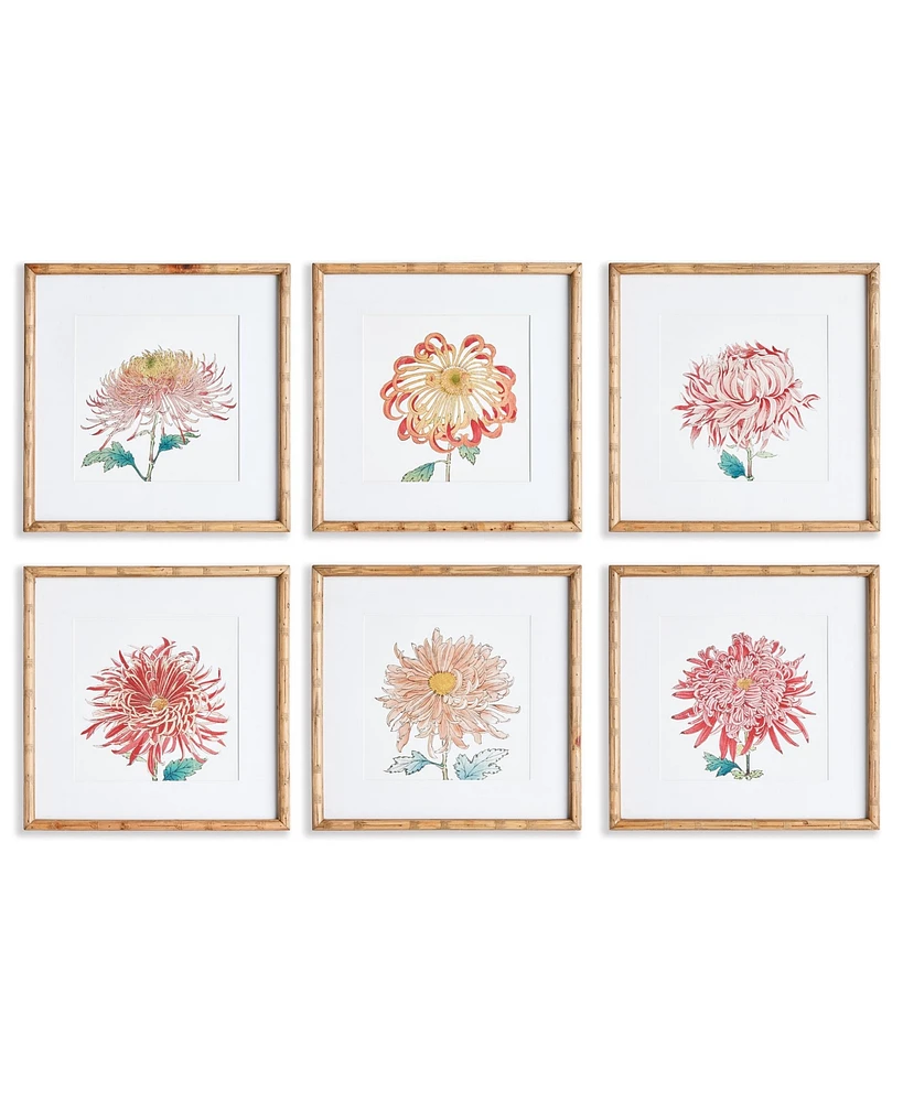 Colorful Chrysanthemum Prints St/6