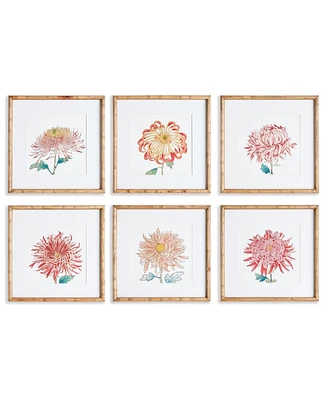 Colorful Chrysanthemum Prints St/6