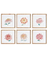 Colorful Chrysanthemum Prints St/6
