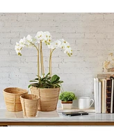Cane Rattan Mini Round Baskets, Set Of 3