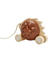 Pull-along Hedgehog
