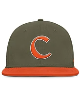 Nike Men's Olive Clemson Tigers On-Field Dugout True Performance Fitted Hat