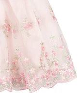 Rare Editions Baby Girls Embroidered Organza Social Dress