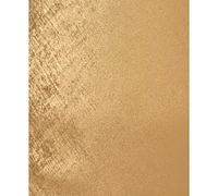 Aidan by Adrianna Papell Plus Sleevelss Gold Foil Gown