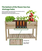 Raised Garden Bed Planter Box with Legs & Storage Shelf Wooden Elevated Vegetable Growing Bed for Flower/Herb/Backyard/Patio/Balcony 48.5x30x24.4in(co