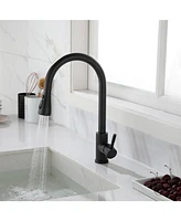 Kitchen Faucet with Pull Out Spraye