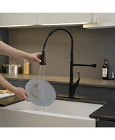 Single Handle Pull-Down Sprayer 3 Spray High Arc Pull Down Sprayer Kitchen Faucet