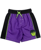 Marvel Avengers The Hulk Pullover Rash Guard and Swim Trunks Outfit Set