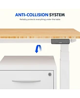 Flexispot E7-commercial W Electric Adjustable Standing Desk, Bamboo Top