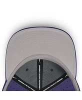 Nike Men's / Clemson Tigers On-Field Dugout True Performance Fitted Hat