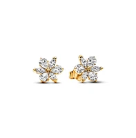 Pandora Sparkling Herbarium Cluster Stud Earrings