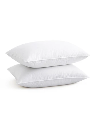 Unikome Decorative 2-Pack Pillow Insert