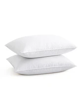 Unikome Decorative 2-Pack Pillow Insert