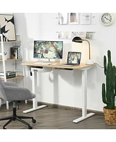 48 Inches Electric Standing Adjustable Desk with Control Panel and Usb Port