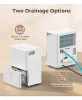Cowsar 2500sq.ft Multifunctional Dehumidifier, 22-Pint, Drain Hose, Smart Humidity Ctrl