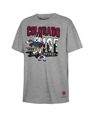 Mitchell & Ness Big Boys and Girls Gray Colorado Avalanche Popsicle T-Shirt