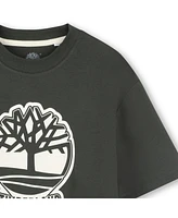 Timberland Big Boys Short Sleeve T-Shirt