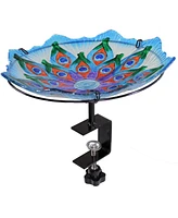 Glass Bird Bath Bowl - 11" Diameter - Includes Deck Clamp and Staked Stand - Exquisite Feathers