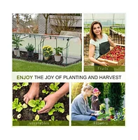 Mini Pvc Greenhouse, Compact Indoor Gardening Solution for Plants and Seedlings