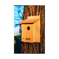 Cedar Birdhouse with Easy-Open Front Panel for Backyard Bird Watching