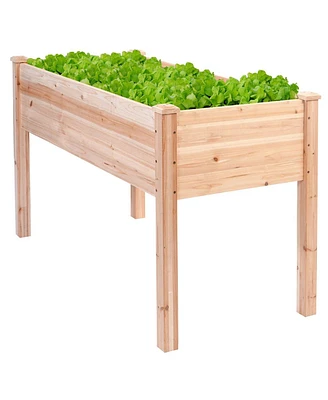 High Raised Garden Bed Planter Box for Easy Gardening and Planting