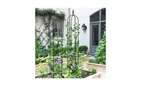 Garden Obelisk Trellis for Climbing Plants and Elegant Outdoor Decor
