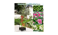 Spacious Garden Bed for Healthy Plant Growth and Organized Outdoor Gardening