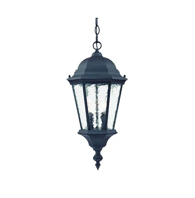 Two-Light Carousel Lantern Hanging Light – Stylish Lighting for Home & Garden