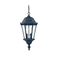 Two-Light Carousel Lantern Hanging Light – Stylish Lighting for Home & Garden
