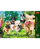 Trefl Premium Plus 1000 Piece Puzzle - Here Comes Trouble!