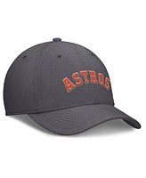 Nike Men's Charcoal Houston Astros Swoosh Performance Flex Hat