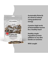 Whole Fish & Pieces: Capelin - Dog Treat 2.5oz