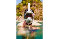Moflow+ Gray Irridium Lxl - Enhanced Vision, Comfortable Fit, Adult Snorkeling